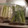 とろけい's cooksnap of when they made 長ネギの冷凍保存.