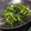 ぷぅしゅけ's cooksnap of when they made 空芯菜　さっと炒めるだけの本格味！.