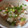 みい５２１２'s cooksnap of when they made 鮭缶ときのこの混ぜご飯.