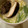 demy427's cooksnap of when they made お手軽☆茶碗蒸し.