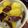 昆布のこん's cooksnap of when they made さつま芋のハニーレモン煮.