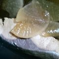 クック瞳's cooksnap of when they made ブリの切り身でブリ大根.