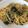なっぴこり's cooksnap of when they made 和風めんつゆツナパスタ＊.