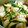 テンchan's cooksnap of when they made かぶの炒め煮.