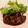 ゆりげら's cooksnap of when they made 鶏レバーのバルサミコソテー.