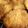 koelnmama's cooksnap of when they made パリパリ☆アーモンドチュイール.