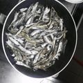 みさおねえさん's cooksnap of when they made 超便利！粉末いりこの作り方♫.