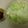 クックAKWLFB☆'s cooksnap of when they made 簡単♪生キャベツ.