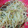 煌めくまま☆'s cooksnap of when they made 安くて簡単！！もやしの酢の物☆.