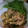 Nobu10's cooksnap of when they made 豆もやしと豚肉の中華風炒め♪.