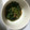ＦＵ−ＮＡ's cooksnap of when they made 簡単☆ほうれん草の胡麻和え.