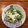 たなみなちゃん's cooksnap of when they made 簡単♡病みつき食感♪我が家の大根サラダ.