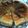 めんどくさい。's cooksnap of when they made 生クリームたっぷり　ベイクドチーズケーキ.