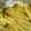 max4995's cooksnap of when they made 簡単！エリンギのオイル焼き♪.