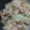 kanafiori's cooksnap of when they made 白菜とねぎのそぼろあんかけ♪.