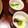 いぶっきー's cooksnap of when they made 基本の本格おもてなし茶碗蒸し.