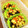 hiro223yam's cooksnap of when they made 素材缶で簡単五目煮豆.