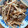 まゅ＠たん's cooksnap of when they made 簡単♪たけのこと豚肉の塩炒め☆.