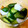 まるっち☆★'s cooksnap of when they made かぶときゅうりの簡単漬.