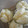きみとみ's cooksnap of when they made ❤ずっとしっとり蒸しパン❤チーズ編.