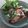 ゆみみまき's cooksnap of when they made 鶏モモ肉の味噌マヨ焼き.