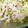 ちびっことんとん's cooksnap of when they made 蒸し鶏と長ネギと白菜のサラダ.