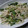 ナーちゃん's cooksnap of when they made 簡単早い！大根の皮と小松菜のツナサラダ♪.