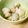 Asukalala's cooksnap of when they made 付け合わせに！ホクホクの焼きジャガ♪.