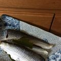 halba's cooksnap of when they made 特盛コノシロで作った酢漬け.