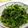 namiin's cooksnap of when they made 小松菜のおひたし（ほうれん草でも◎）.