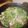 〜tinr～'s cooksnap of when they made これは意外☆　レタス鍋.