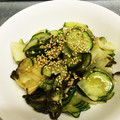 ぷっしん's cooksnap of when they made 大根ときゅうりの塩昆布和え.