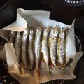 アスティー223's cooksnap of when they made 樺太ししゃもの塩焼き＠ノンフライヤー.