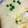 姫ねぇさま's cooksnap of when they made 簡単!!コンソメ茶碗蒸し.