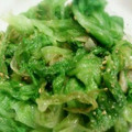 SW_チーフ's cooksnap of when they made たくさん食べよう！レタスのごまごま和え♬.