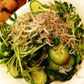 リラシャン's cooksnap of when they made やみつき！水菜とじゃこのはりはりサラダ.