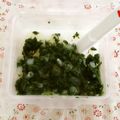♩キティ♩'s cooksnap of when they made 【離乳食 中期】小松菜のポテト和え.