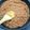 マナ☆マロン's cooksnap of when they made 離乳食～幼児食☆ミートソース.