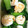 ako♡♡♡'s cooksnap of when they made エビと小松菜の中華あん.