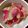 こたつねこくん's cooksnap of when they made 紅芯大根のお漬物.
