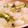 manayoshi's cooksnap of when they made かぶがとろける鶏だしのあったかスープ.
