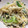 sakichi♪'s cooksnap of when they made 使いきり☆にらとえのきの卵炒め.
