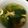 クックB10HK6☆'s cooksnap of when they made 小松菜と卵のスープ♪.