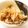 しおりのテーマ's cooksnap of when they made 豚バラとごぼうの味噌炒め.