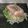 もうらん's cooksnap of when they made おにぎらず.
