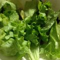 ☆chocola's cooksnap of when they made サニーレタスと海苔のサラダ.