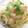 sonop's cooksnap of when they made 大根おろしの和風パスタ.
