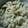 きえまま's cooksnap of when they made ほっこり　ねっとり　ゆりねのともに.