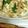 たみ～ゆ's cooksnap of when they made たたきキュウリと厚揚げの生姜醤油和え.