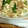 たみ～ゆ's cooksnap of when they made たたきキュウリと厚揚げの生姜醤油和え.